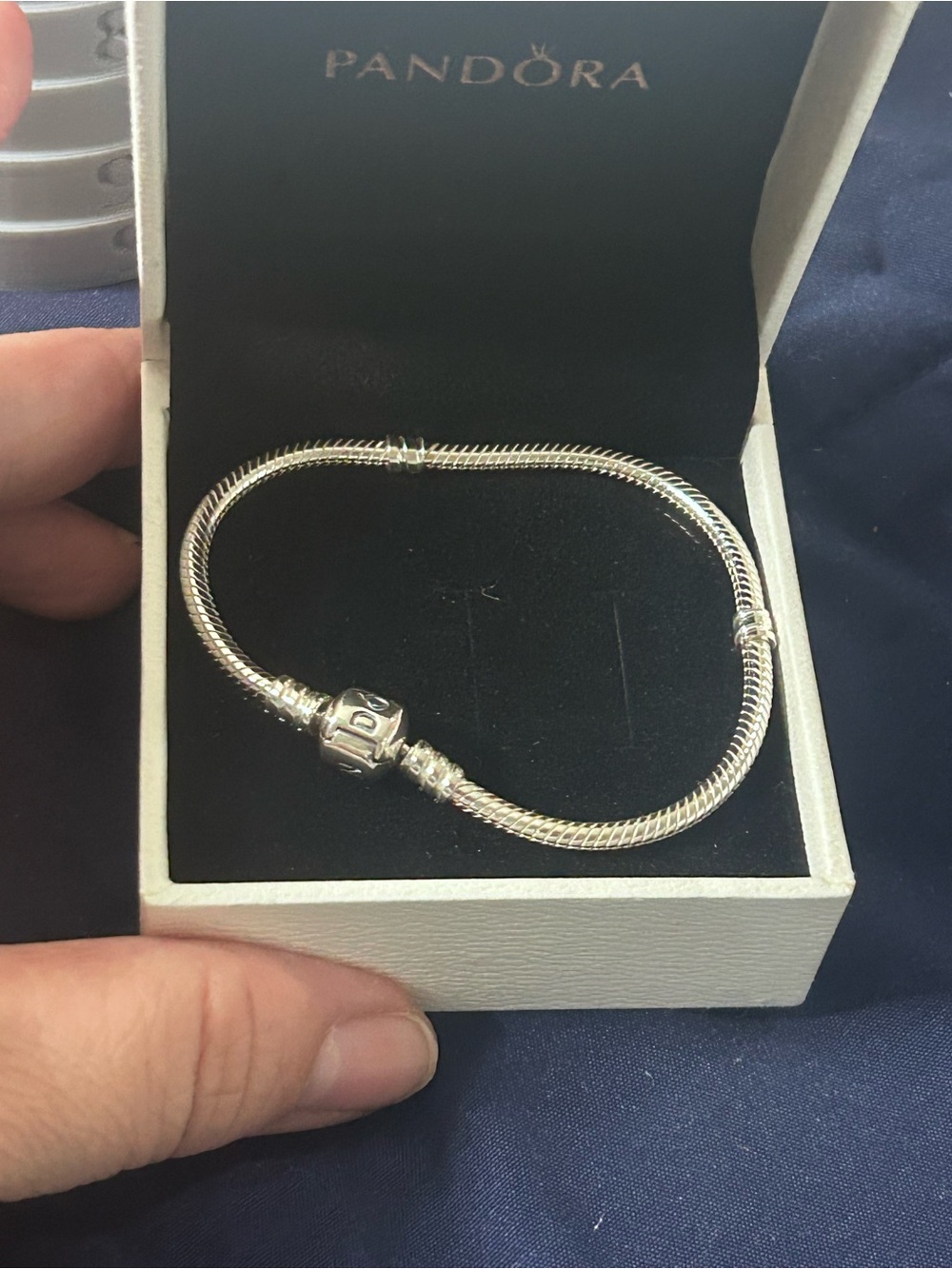 Pandora Sterling Snake Chain Bracelet in Silver Tone